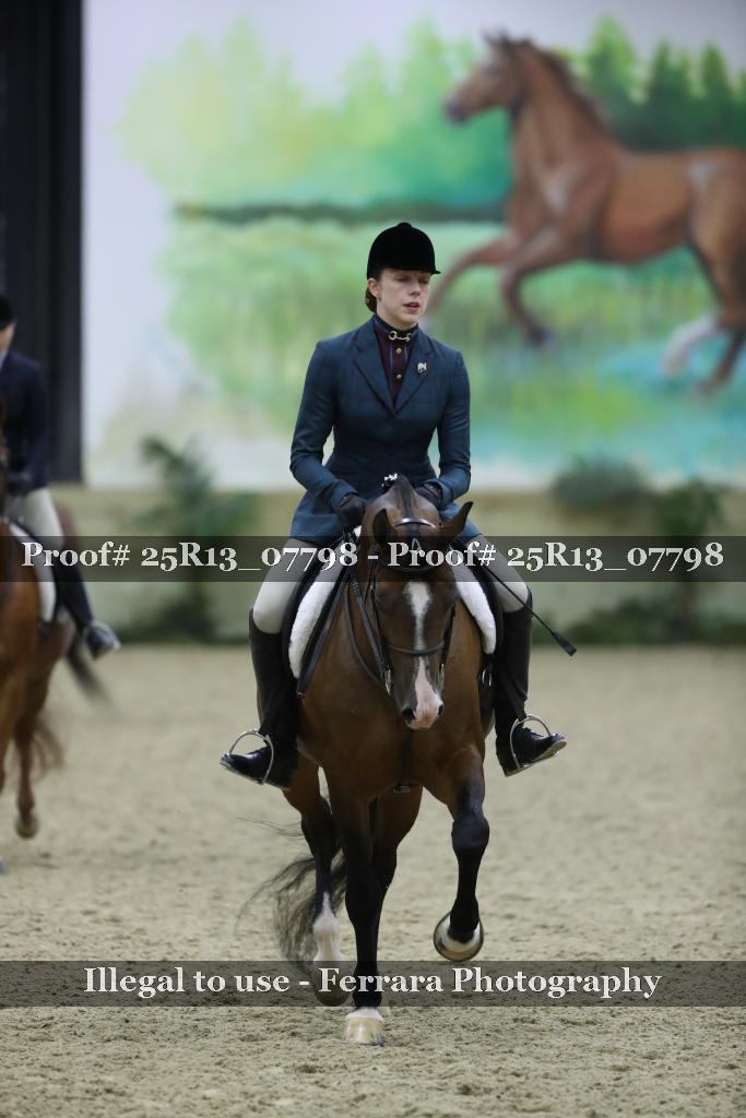 Proof Number 25R13_07798