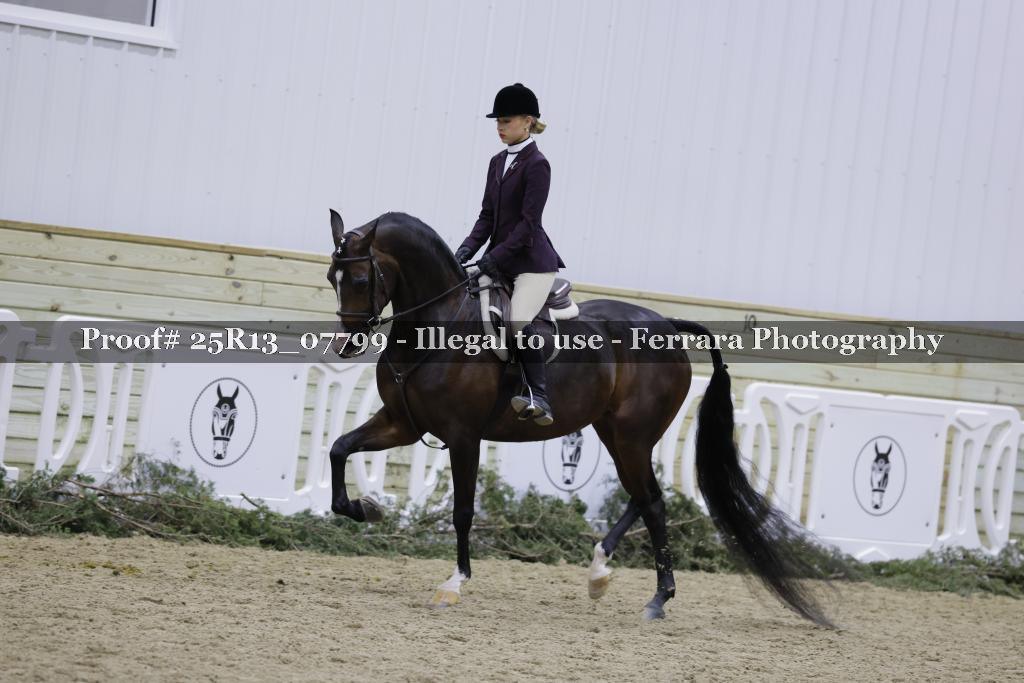 Proof Number 25R13_07799