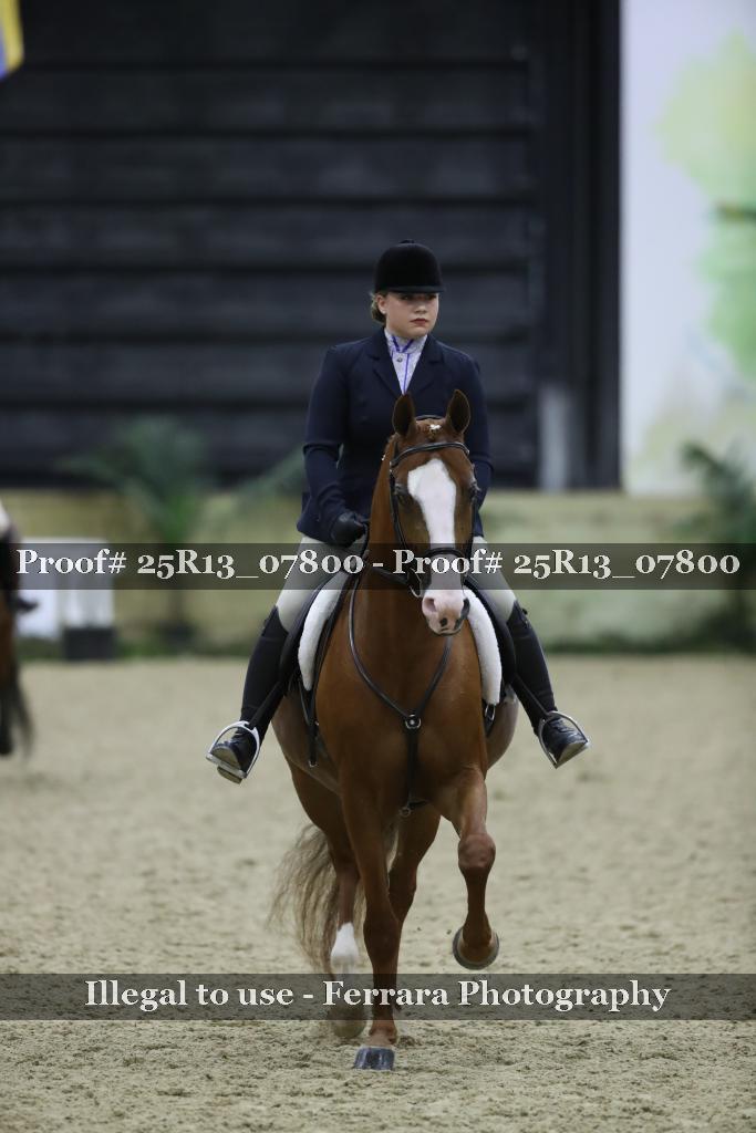 Proof Number 25R13_07800