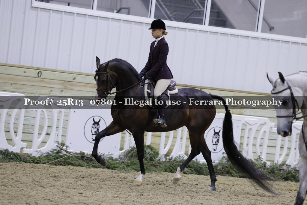 Proof Number 25R13_07801