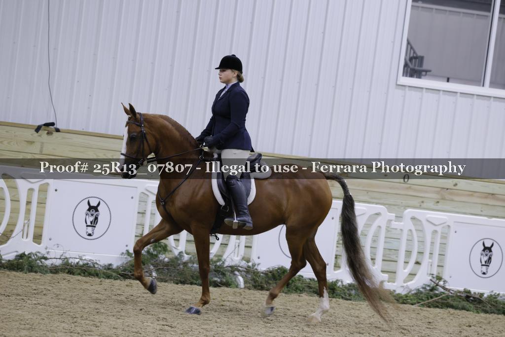 Proof Number 25R13_07807