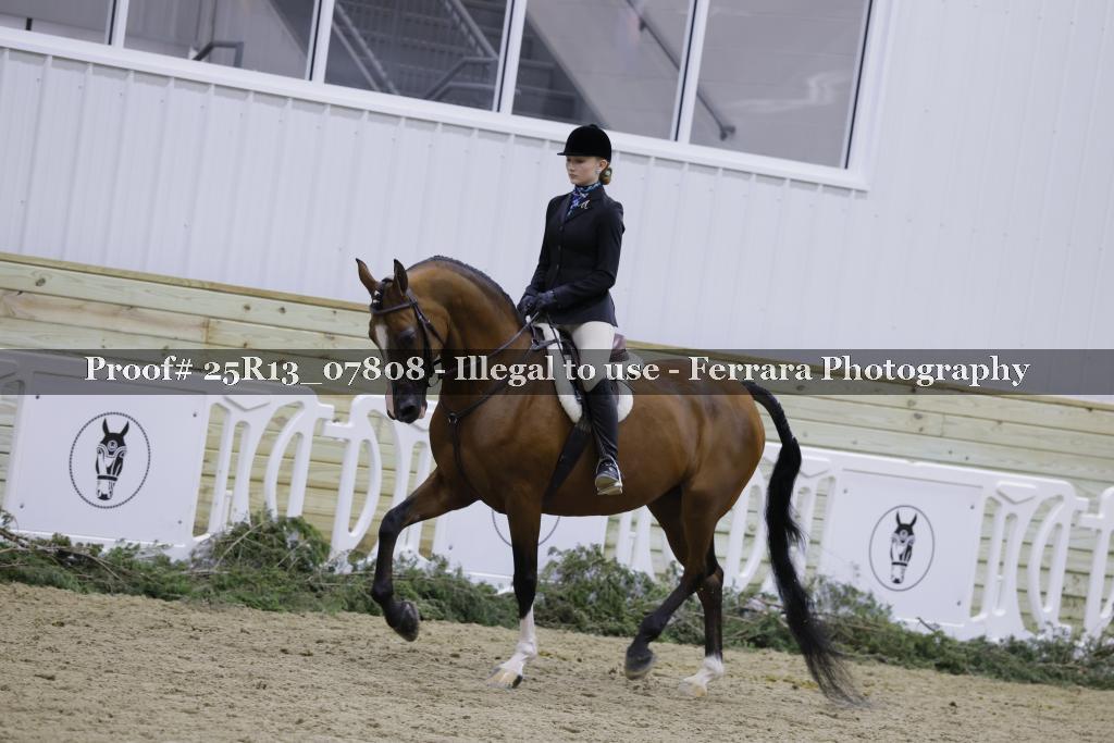 Proof Number 25R13_07808