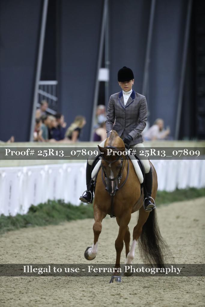 Proof Number 25R13_07809