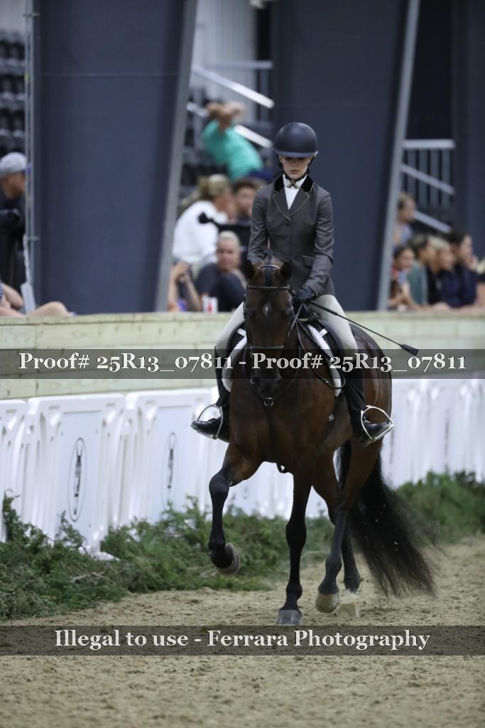 Proof Number 25R13_07811