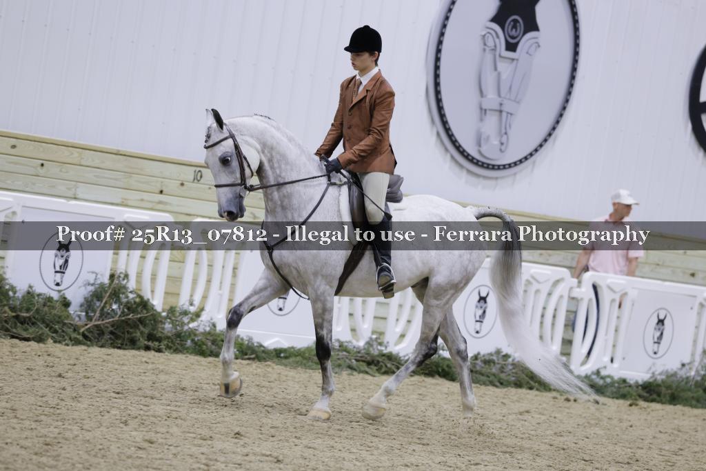 Proof Number 25R13_07812