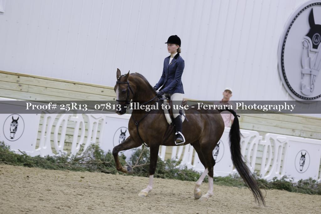 Proof Number 25R13_07813