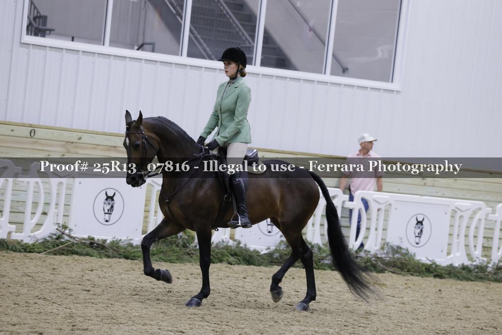 Proof Number 25R13_07816