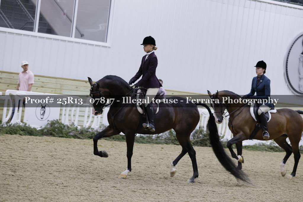 Proof Number 25R13_07817