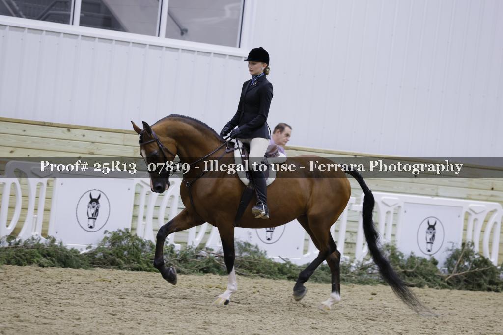 Proof Number 25R13_07819