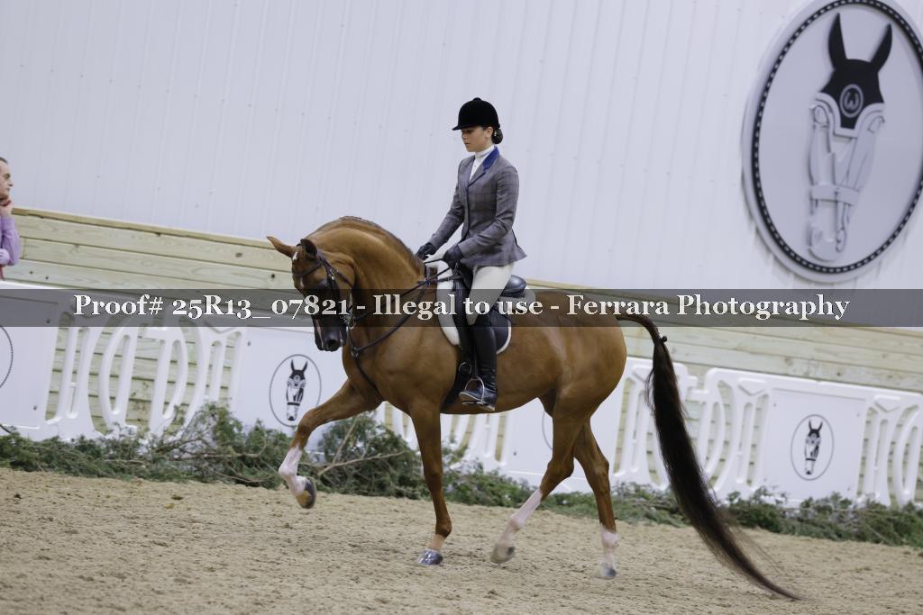 Proof Number 25R13_07821