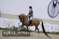 25R13_07821 thumbnail