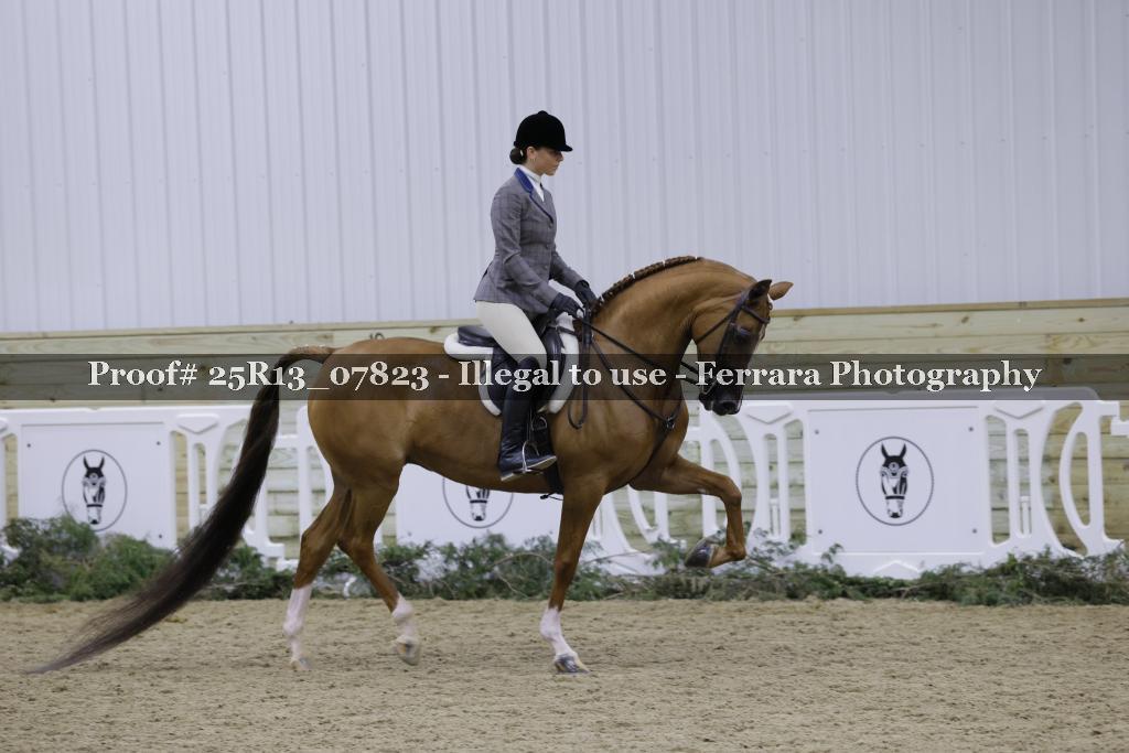 Proof Number 25R13_07823