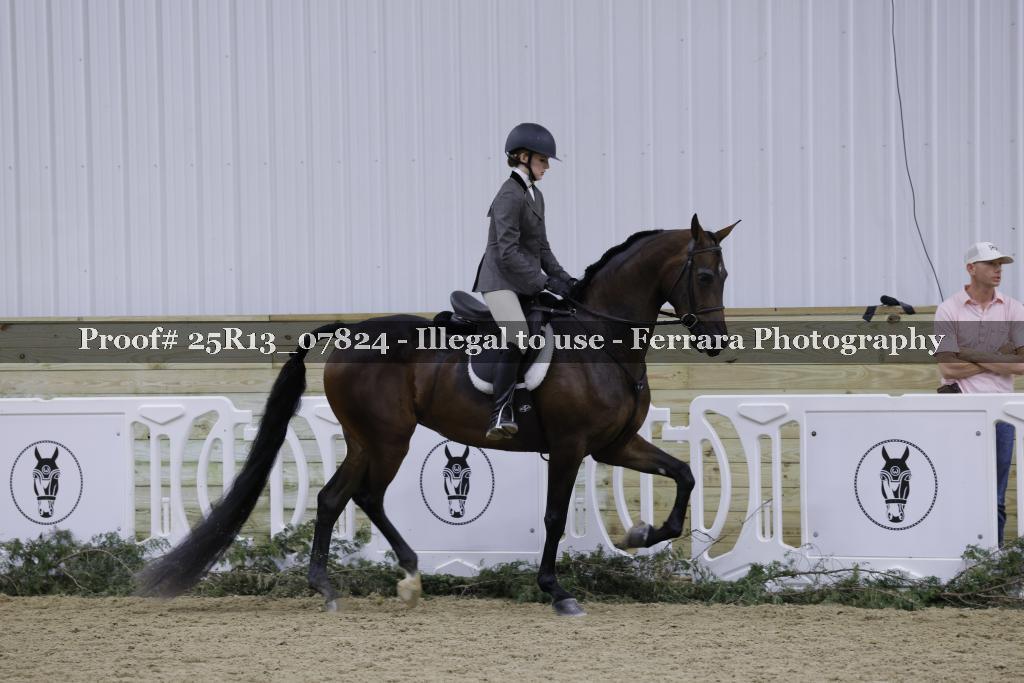 Proof Number 25R13_07824