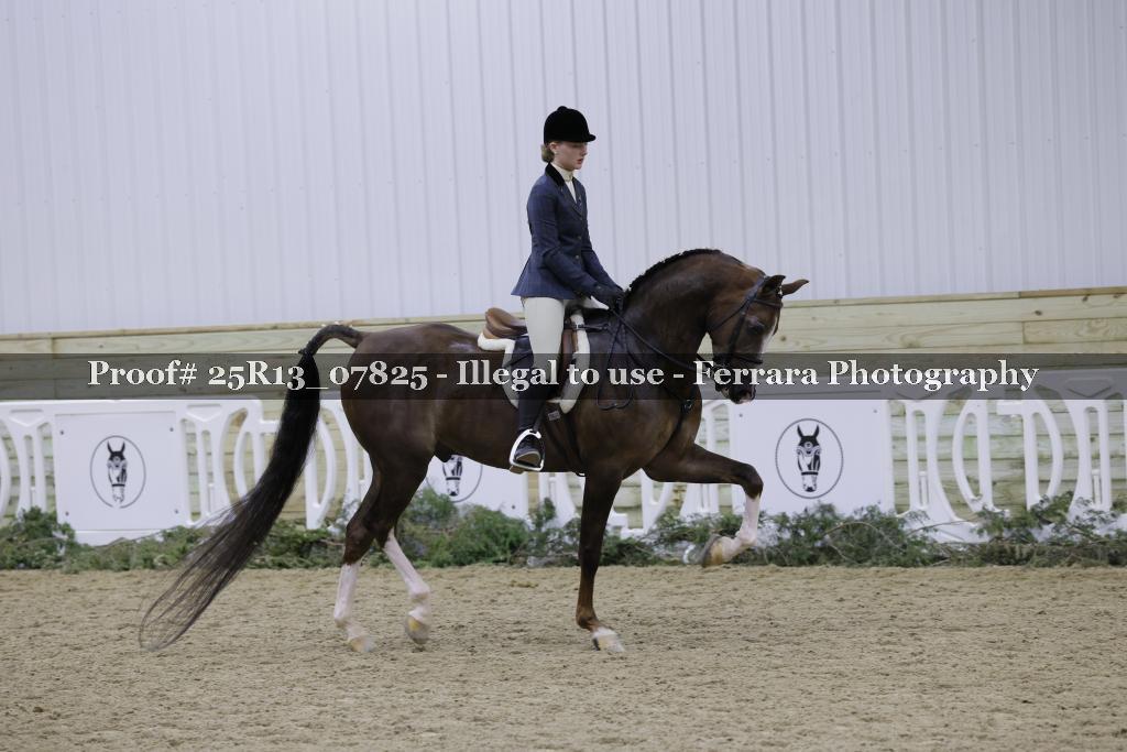 Proof Number 25R13_07825