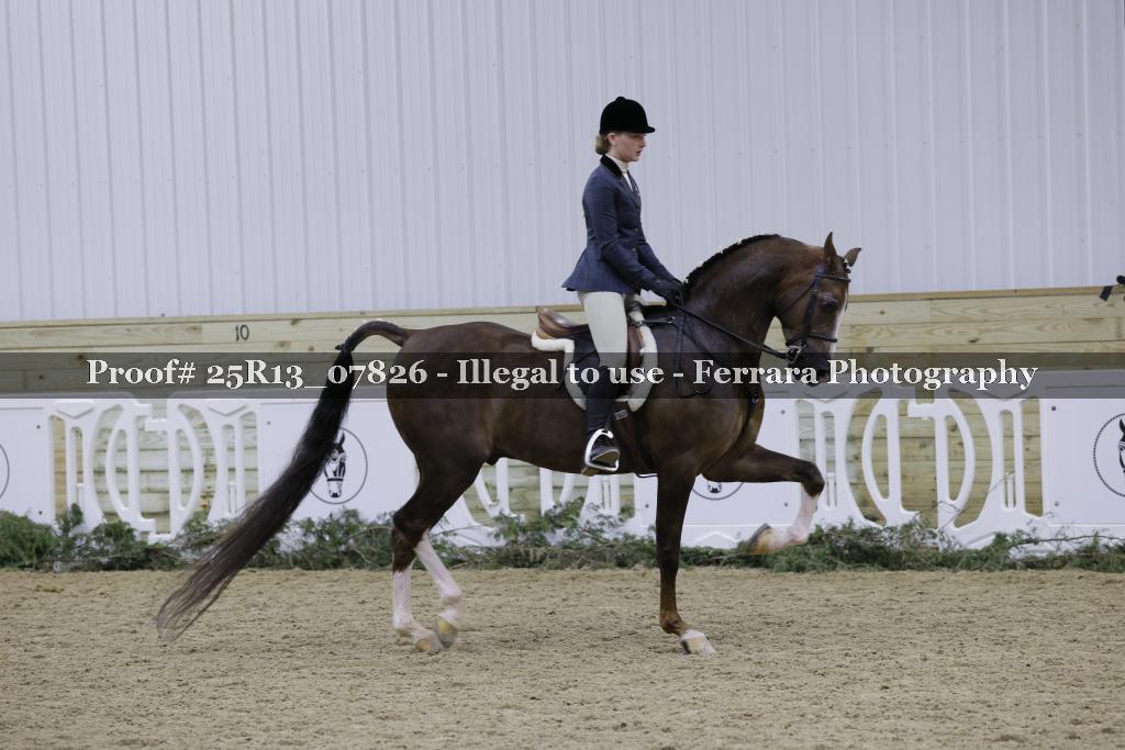 Proof Number 25R13_07826