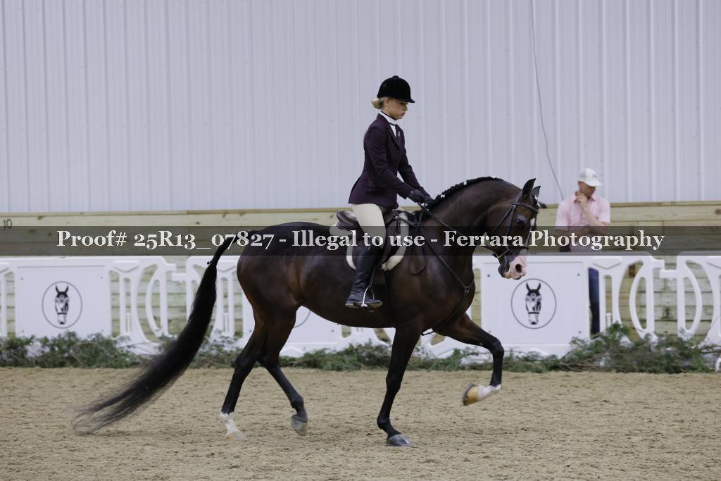 Proof Number 25R13_07827