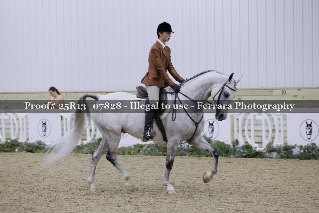 Proof Number 25R13_07828