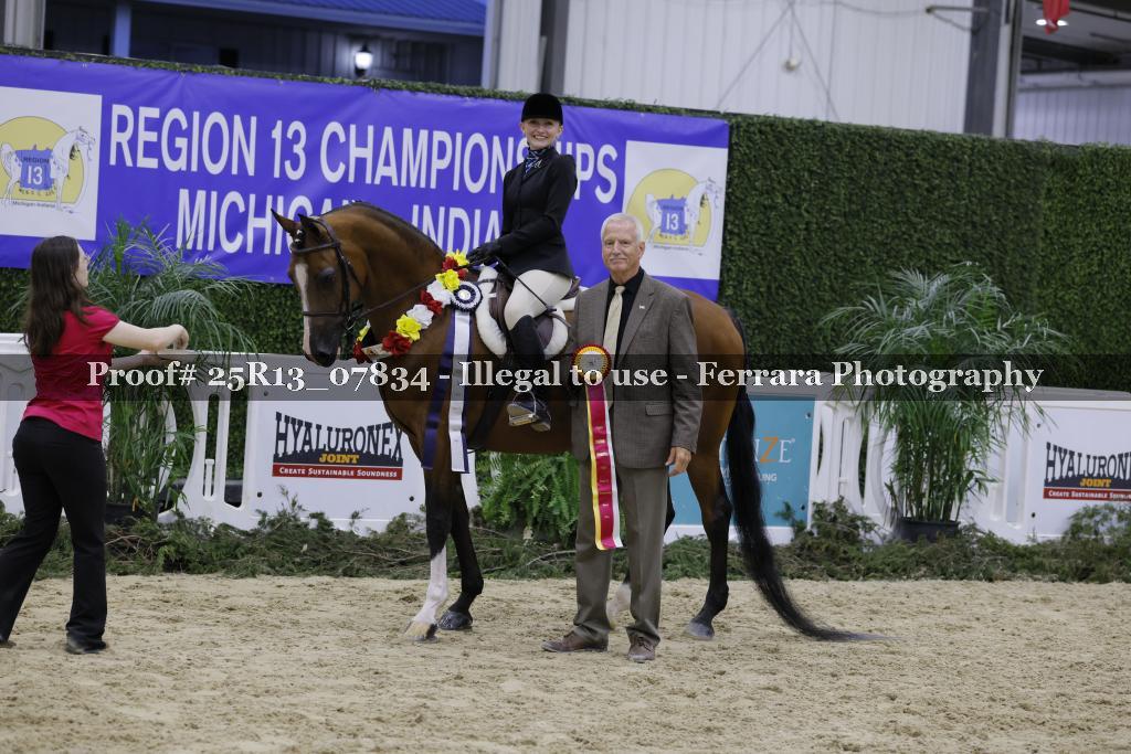 Proof Number 25R13_07834