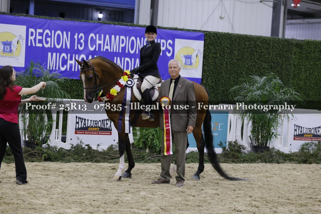 Proof Number 25R13_07835
