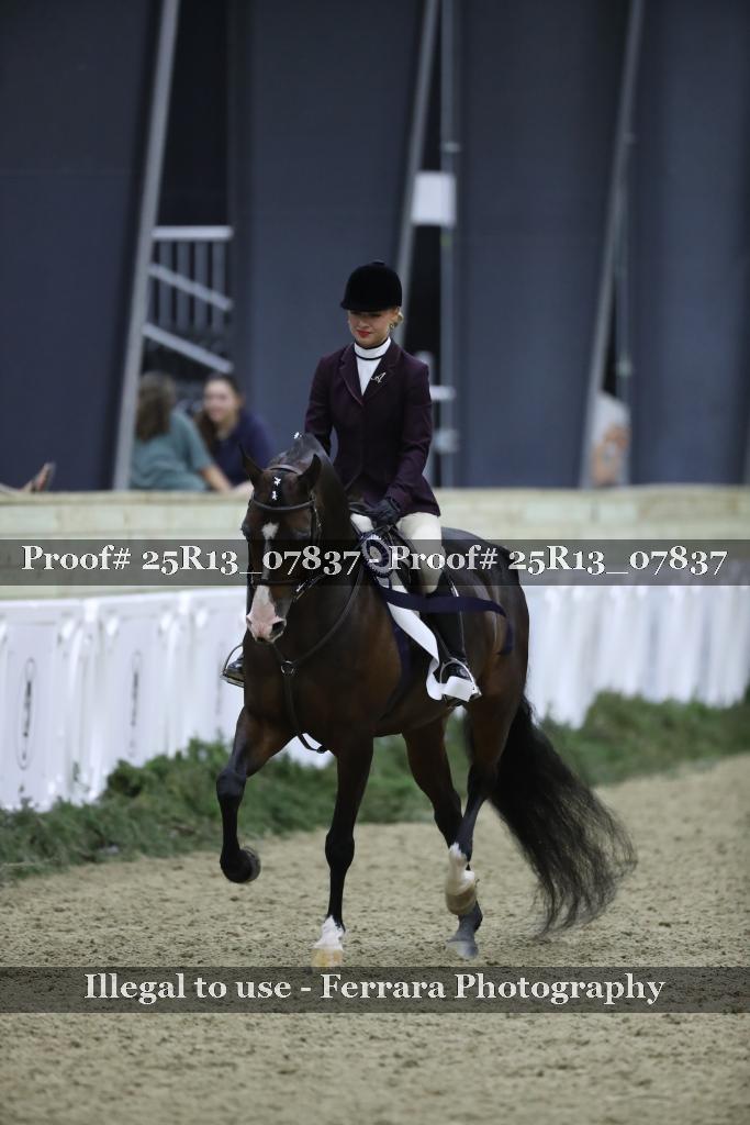 Proof Number 25R13_07837