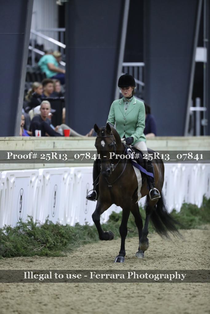 Proof Number 25R13_07841