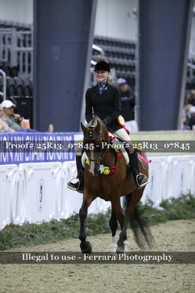 Proof Number 25R13_07845