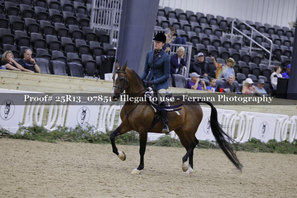 Proof Number 25R13_07851