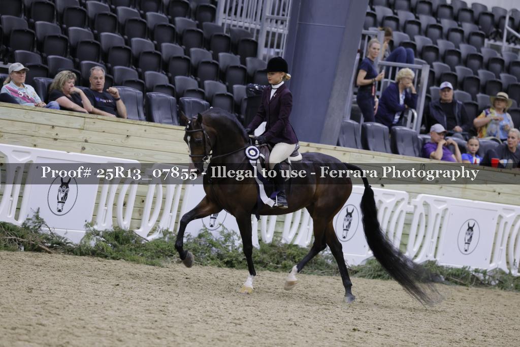 Proof Number 25R13_07855