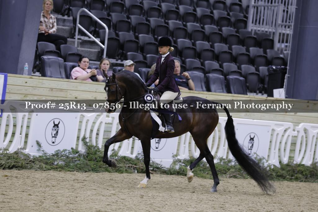 Proof Number 25R13_07856