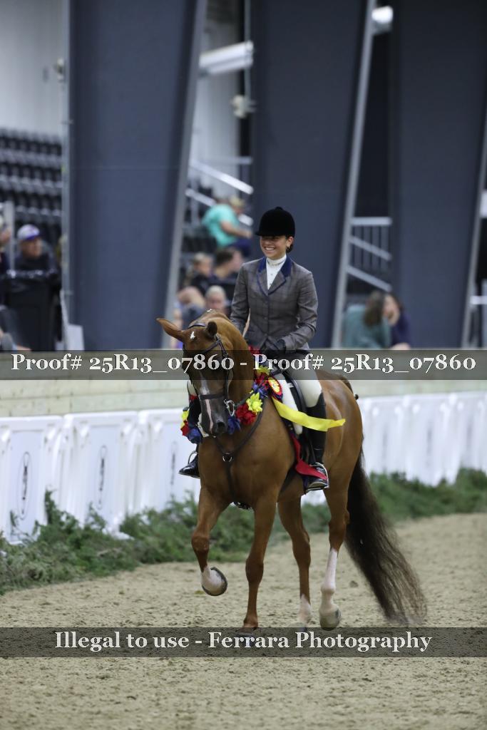 Proof Number 25R13_07860