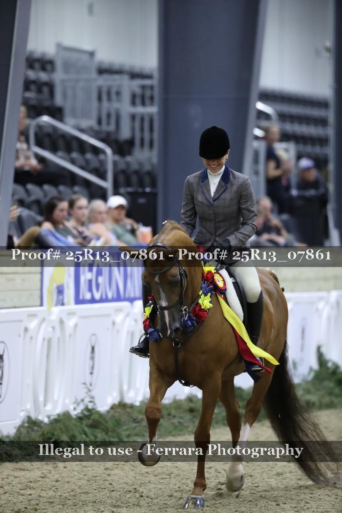 Proof Number 25R13_07861