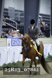25R13_07861 thumbnail