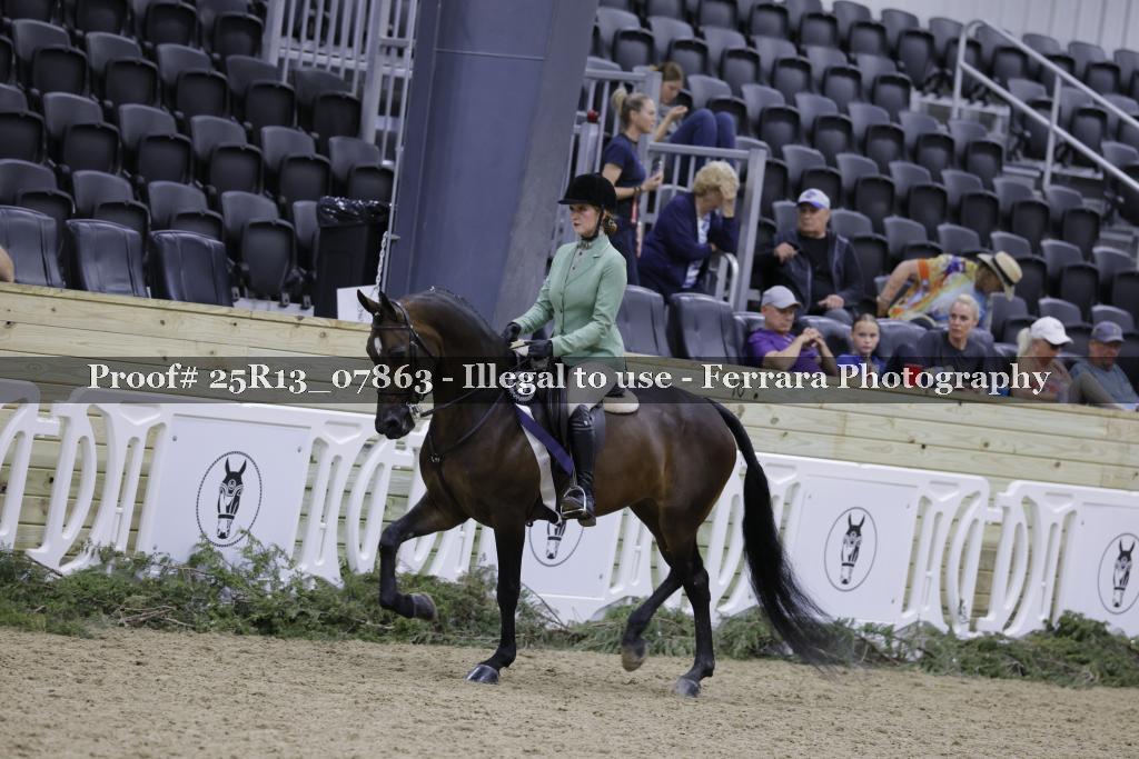 Proof Number 25R13_07863