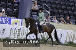 25R13_07866 thumbnail