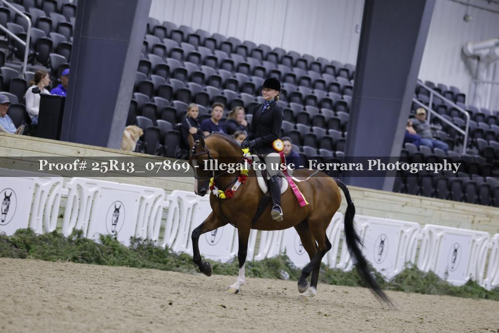 Proof Number 25R13_07869