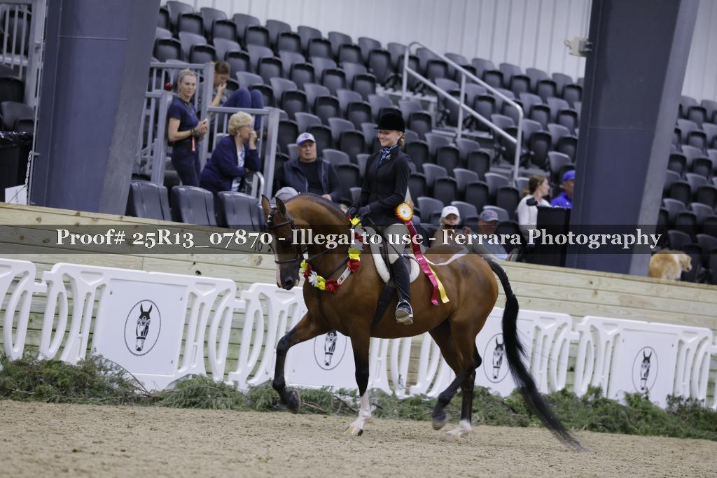 Proof Number 25R13_07870