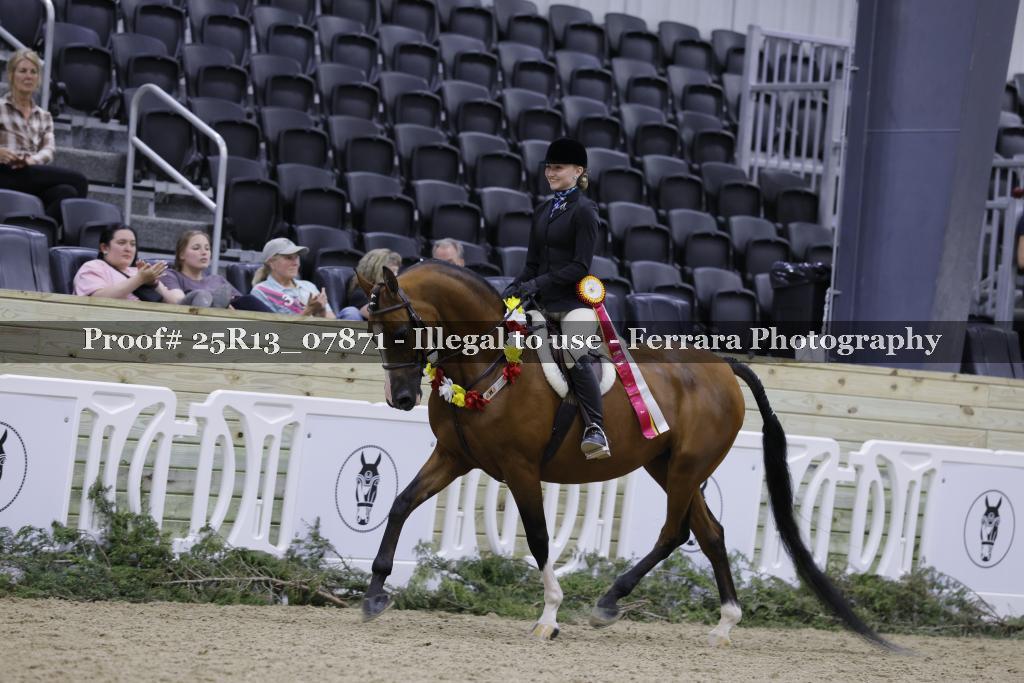 Proof Number 25R13_07871