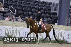 25R13_07871 thumbnail