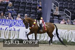 25R13_07872 thumbnail