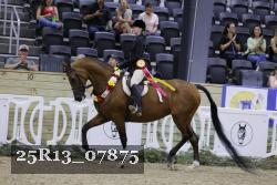 25R13_07875 thumbnail