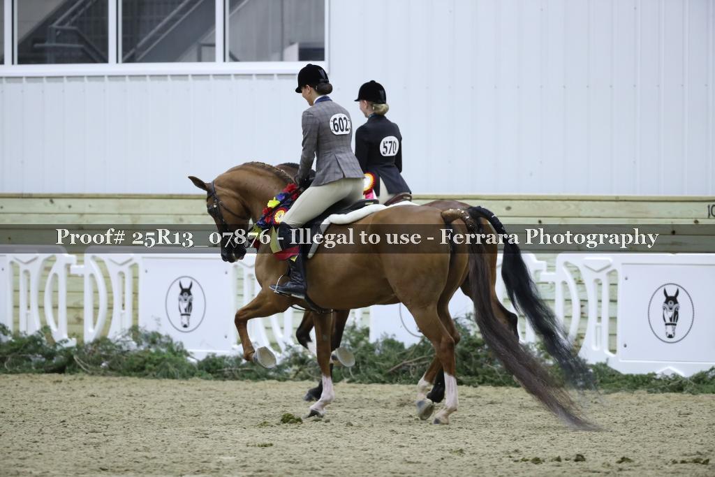 Proof Number 25R13_07876