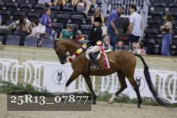 25R13_07877 thumbnail