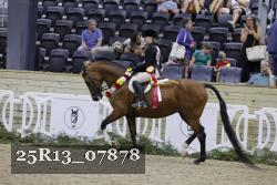 25R13_07878 thumbnail