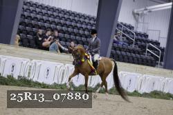 25R13_07880 thumbnail