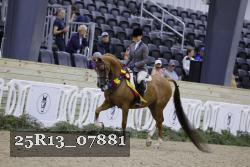 25R13_07881 thumbnail
