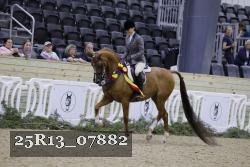 25R13_07882 thumbnail