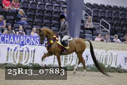 25R13_07883 thumbnail