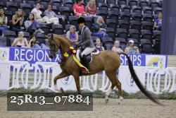 25R13_07884 thumbnail