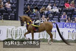 25R13_07885 thumbnail