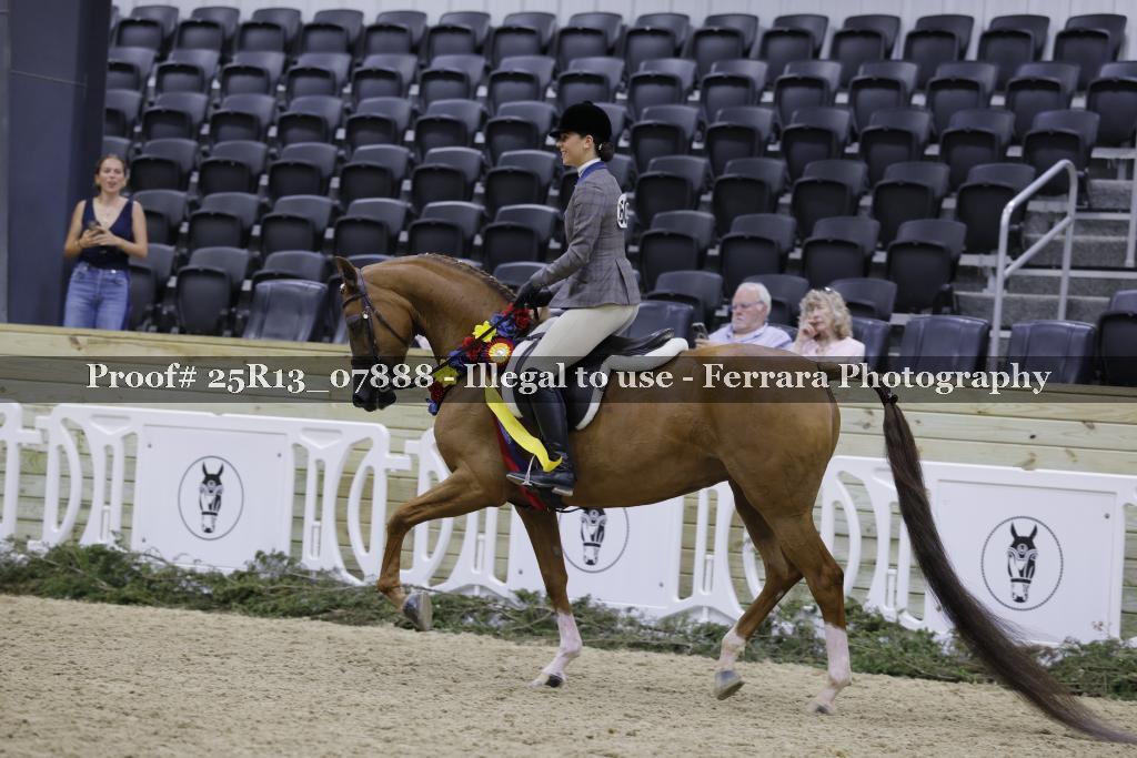 Proof Number 25R13_07888